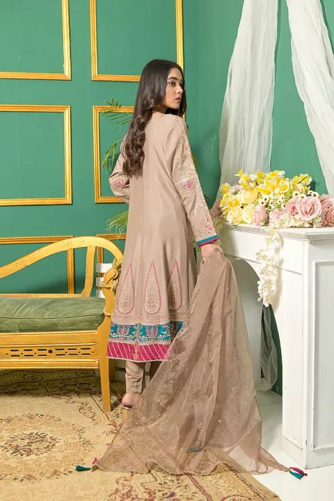 Beige A Line Formal Suit with Pink and Teal Border